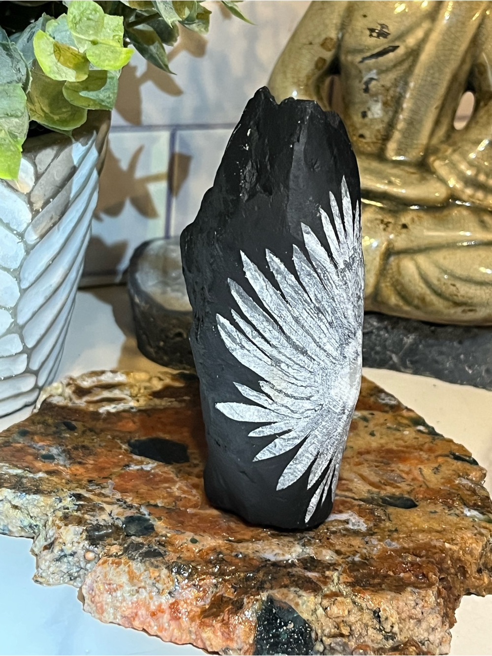 Chrysanthemum Stone - Picture 3 of 4